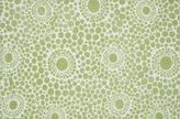modern and contemporary  green bubble design mosaic