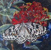  Butterfly mosaic