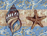 Conch and starfish mosaic border