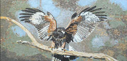 Bald eagle Mosaic