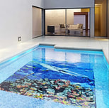 Pool installation with a mosaic fish mural